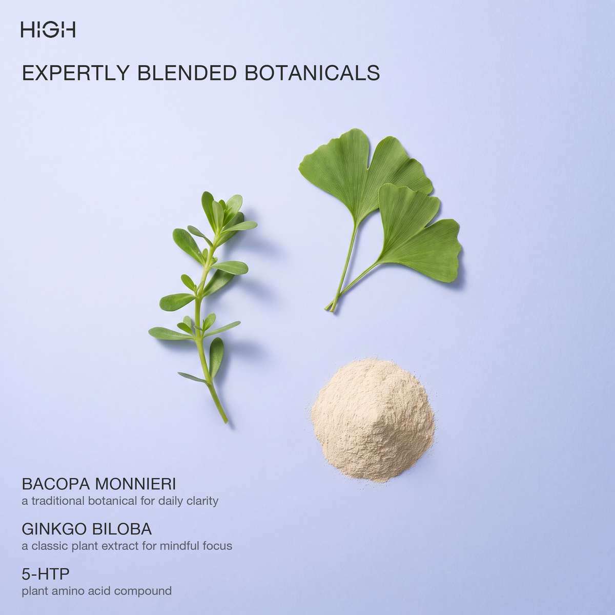 VIBE focus patch botanical ingredients, including ginkgo leaf (add the names shown on the image)
